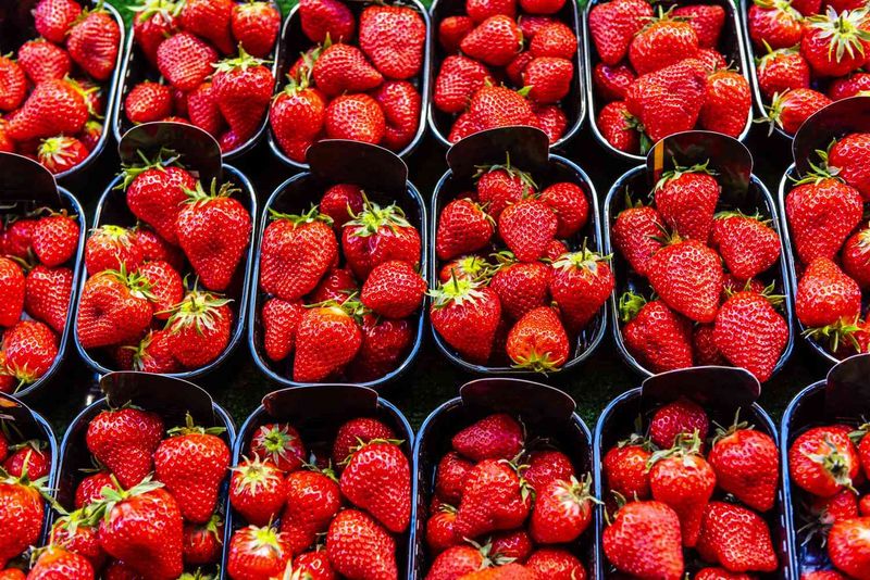 Seasonal Fruits