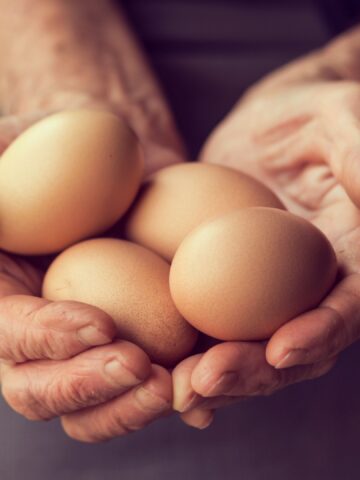 17 Superfoods That Help Keep Seniors Healthy