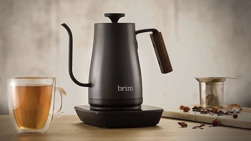 Electric Kettle With Temperature Control