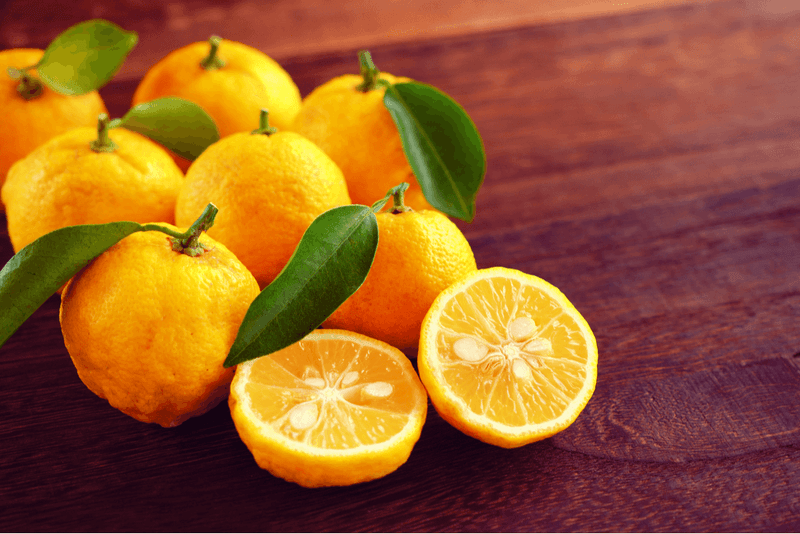 Yuzu