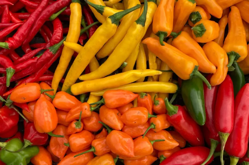 Chillies: Spicy Global Sensations