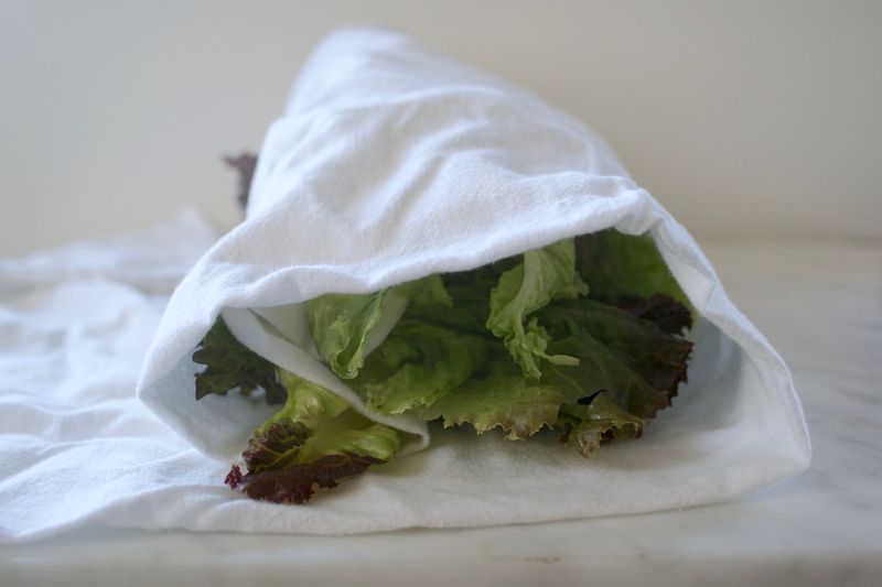 Wrap In A Damp Paper Towel