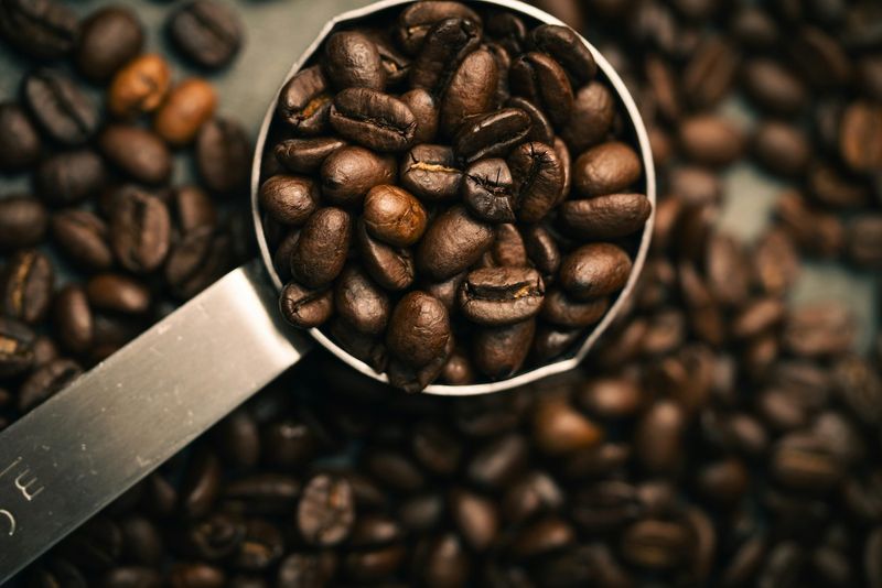 Rich In Polyphenols