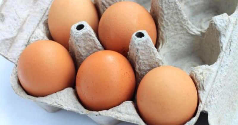 Eggs