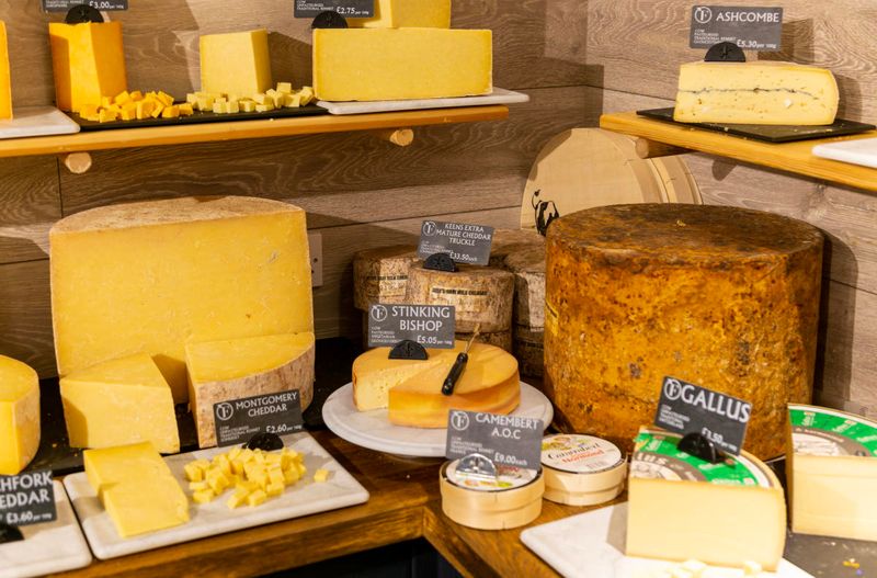 Cheese