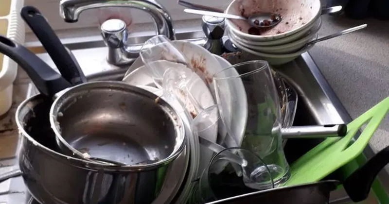 Leaving Dirty Dishes In The Sink