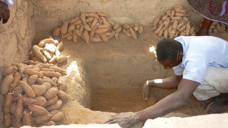 Clay Pots Buried In Sand
