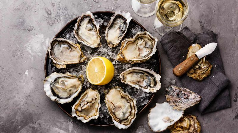 Oysters