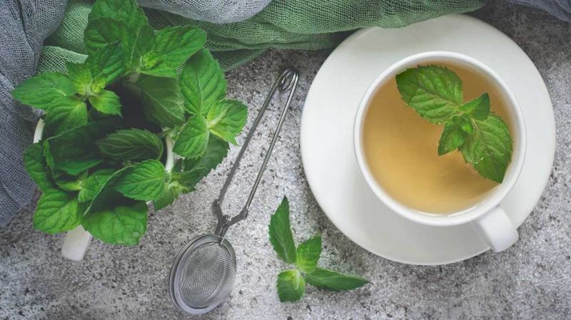 Peppermint Tea – Soothing Digestion, One Sip At A Time