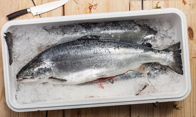 Fresh Fish