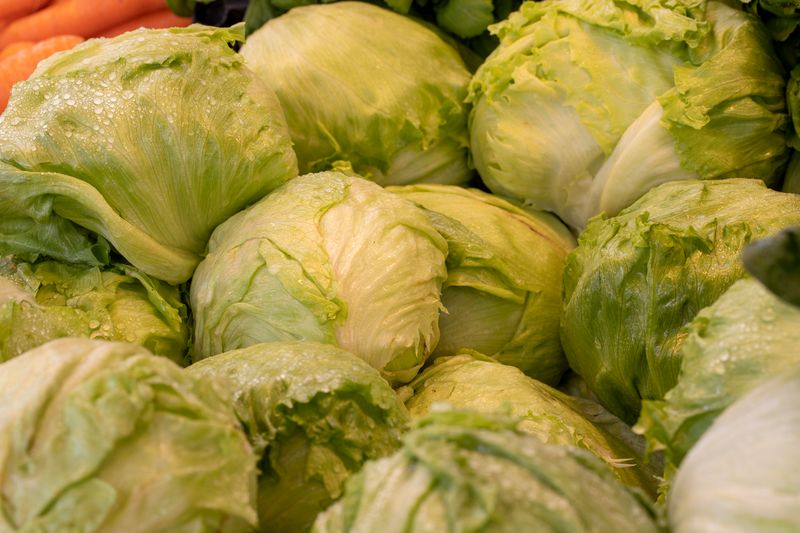 Lettuce