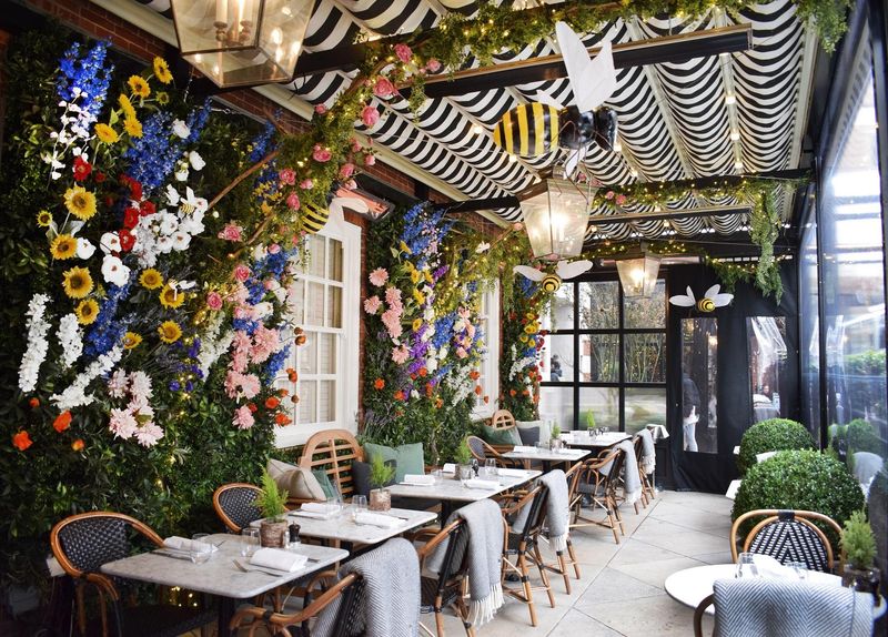 Dalloway Terrace