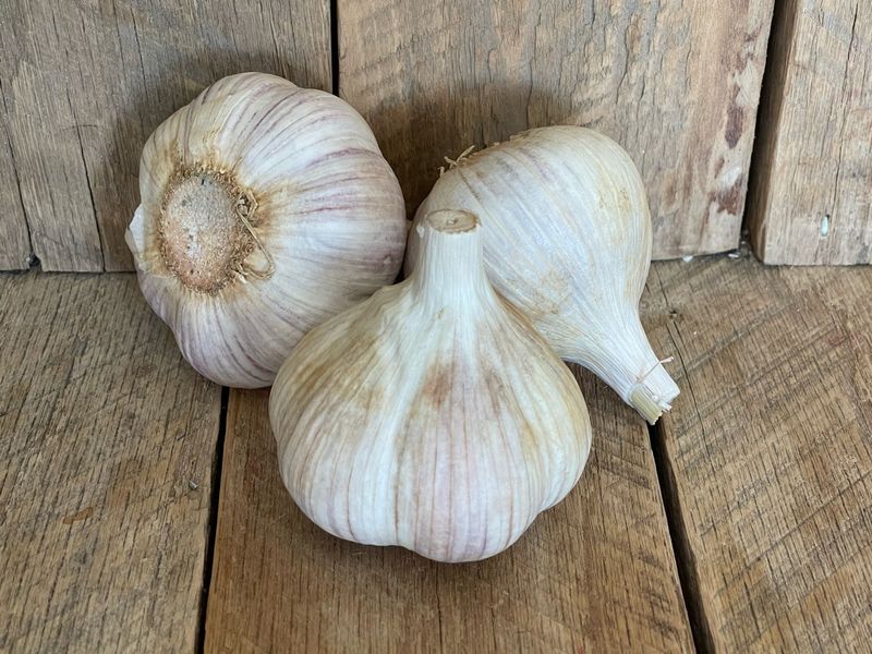 Garlic: The Aromatic Heavyweight