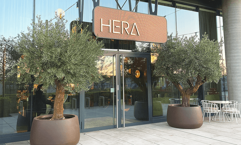 HERA Stratford's Contemporary Haven