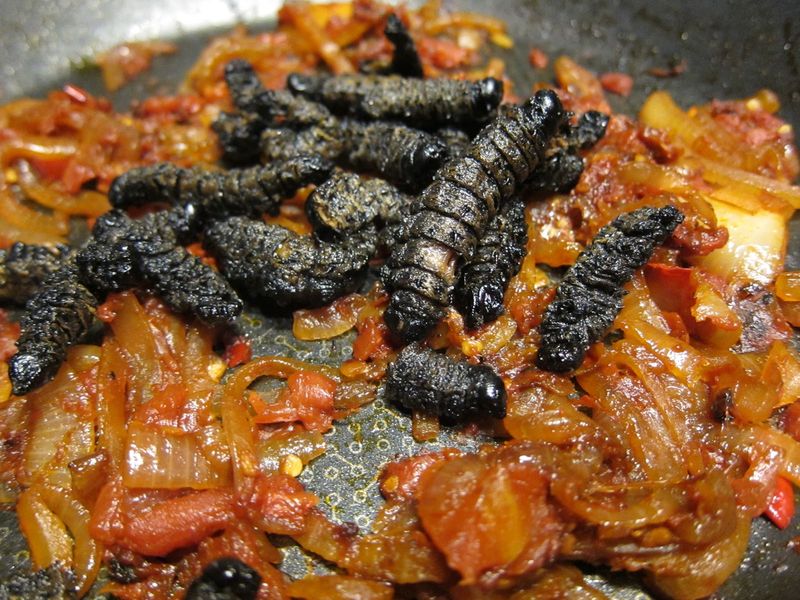 Mopane Worms (Southern Africa)