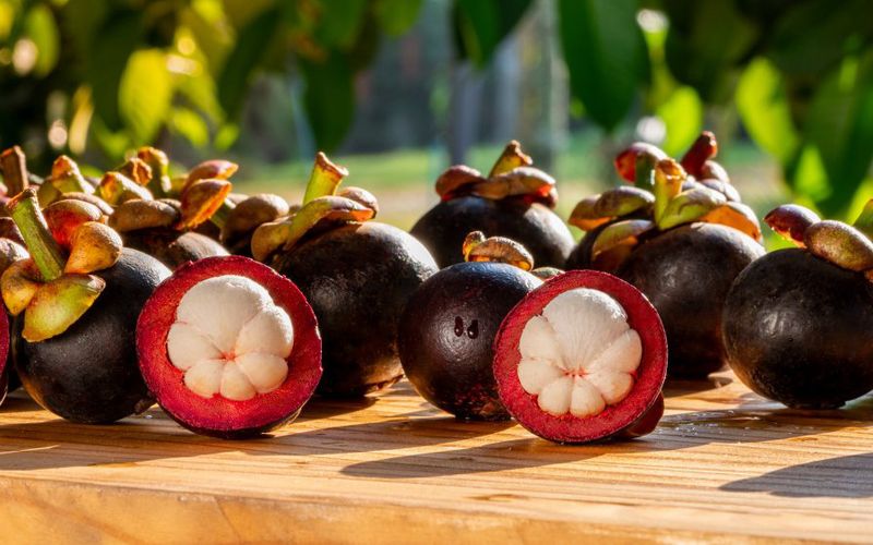 Mangosteen (Southeast Asia)