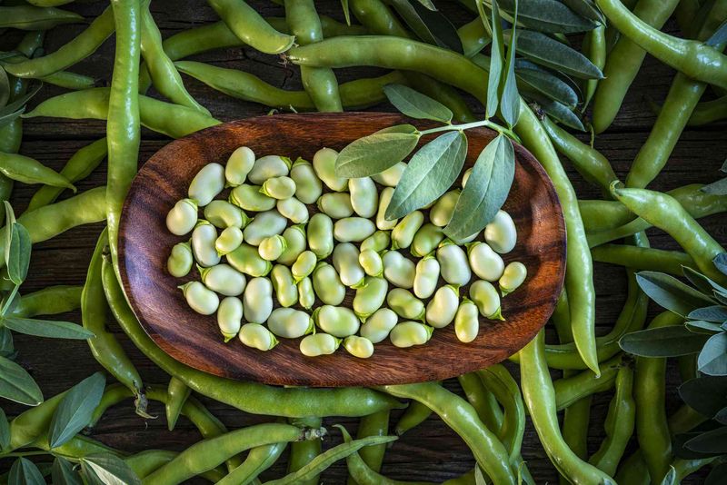 Lima Beans