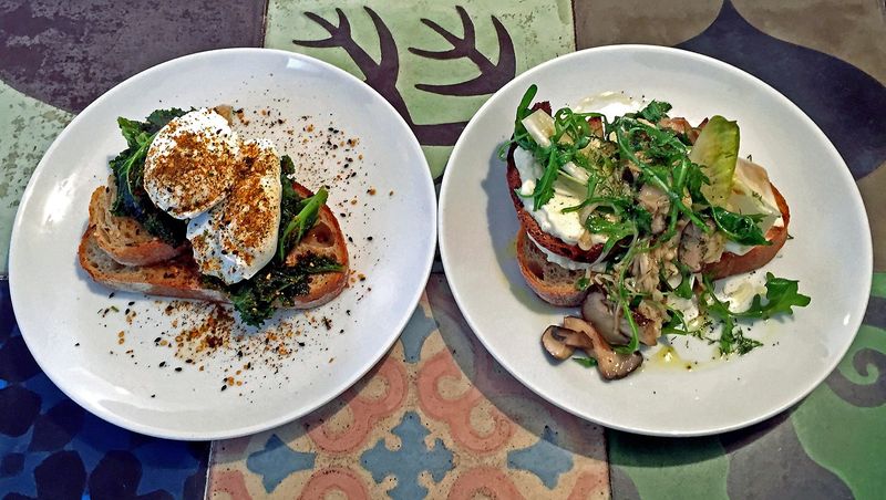 Esters, Stoke Newington