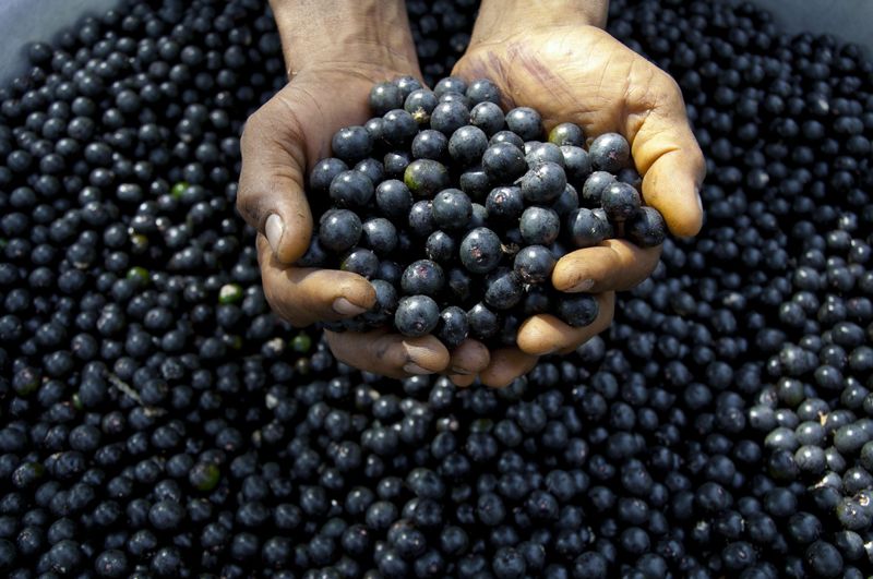Acai Berries