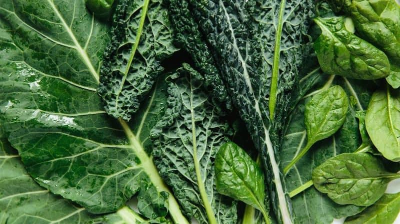 Leafy Greens: Vitamin Treasure Trove
