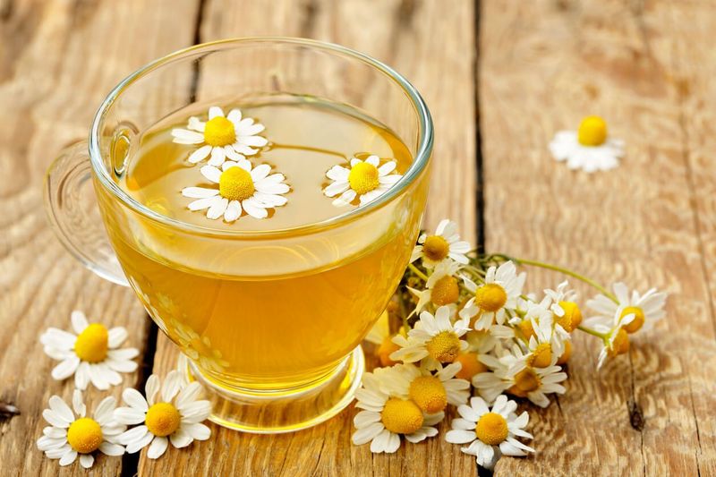 Chamomile – The Go-To Brew For Better Sleep And Stress Relief