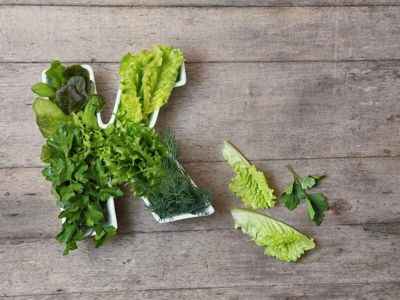 Improves Bone Health