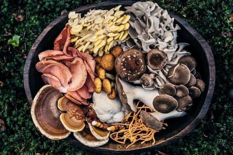 Mushrooms By Weight