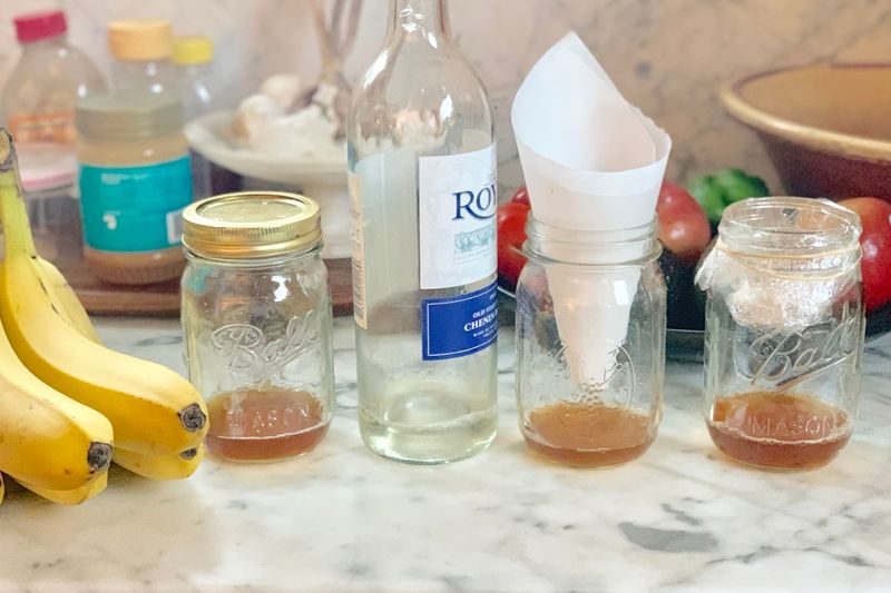 Apple Cider Vinegar Trap