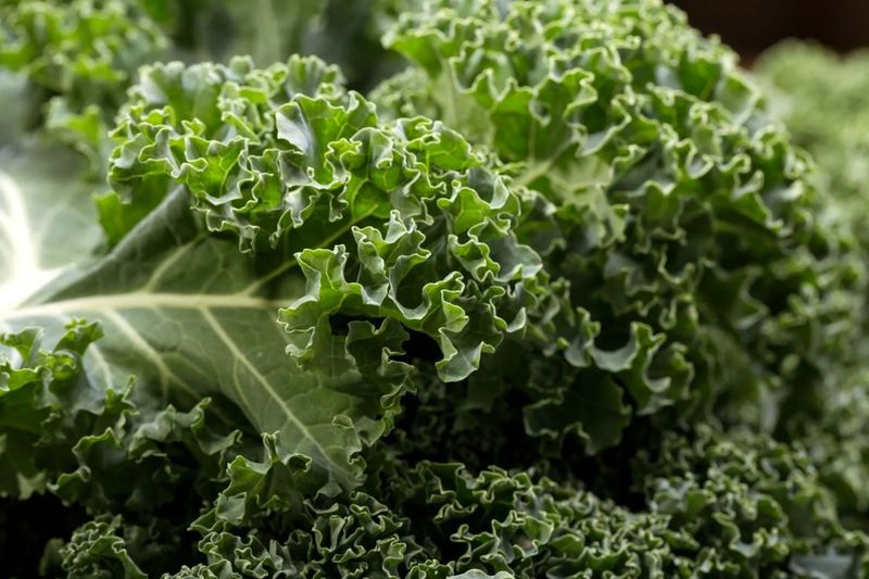Kale