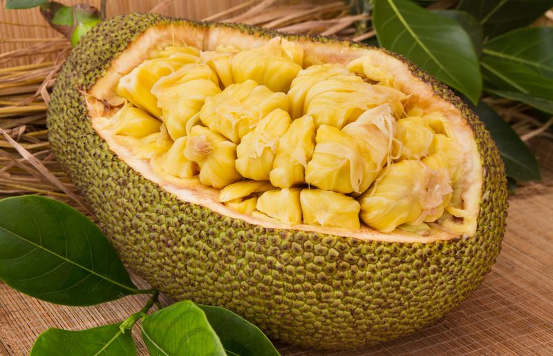 Jackfruit (Tropical Regions)