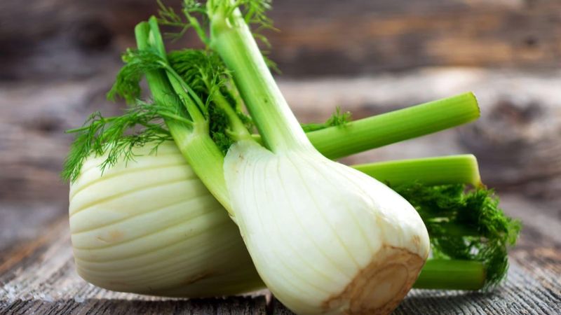 Fennel