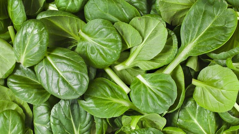 Spinach Hides A Stone-Forming Secret