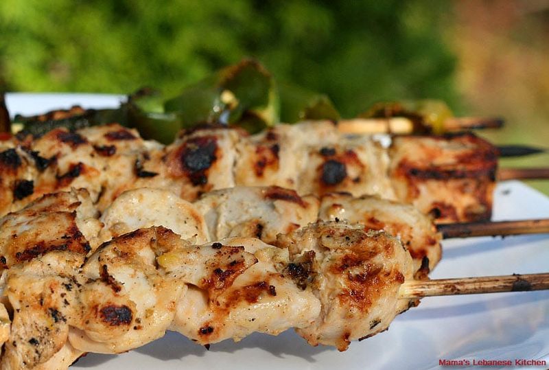 Shish Tawook