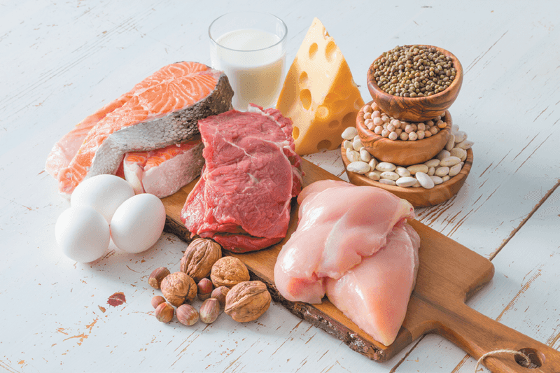 Moderate Protein Intake