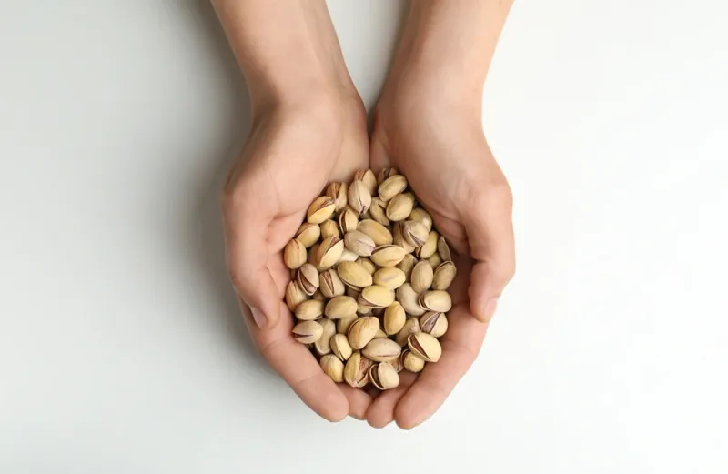 Boost Digestive Regularity