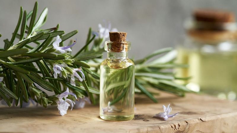 May Protect Against Alzheimer's Disease