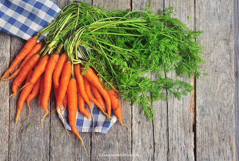 Carrots: Colourful Underground Treasures