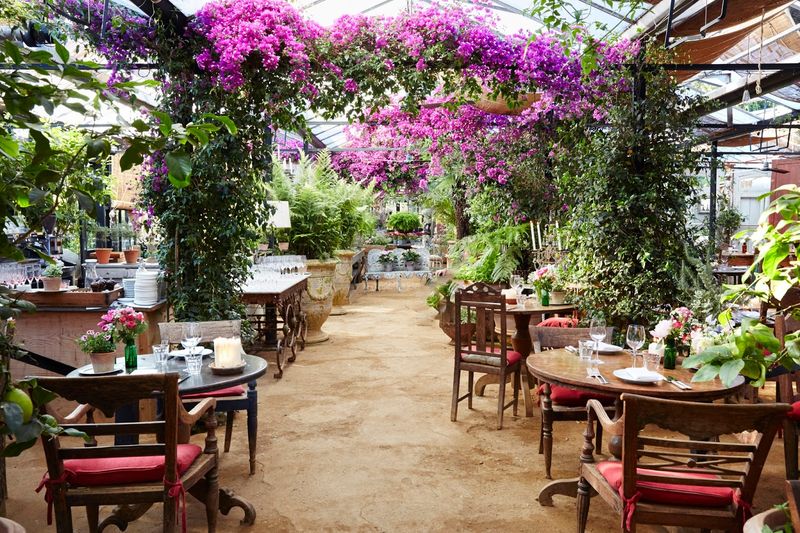 Petersham Nurseries Café (Richmond-upon-Thames)