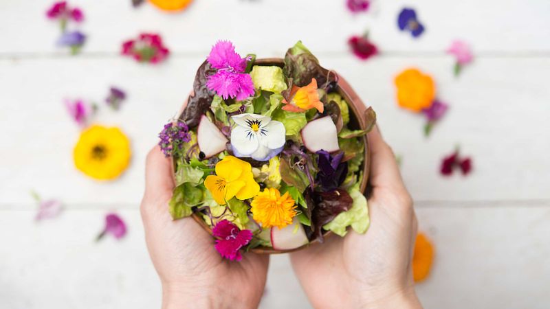 Edible Flowers
