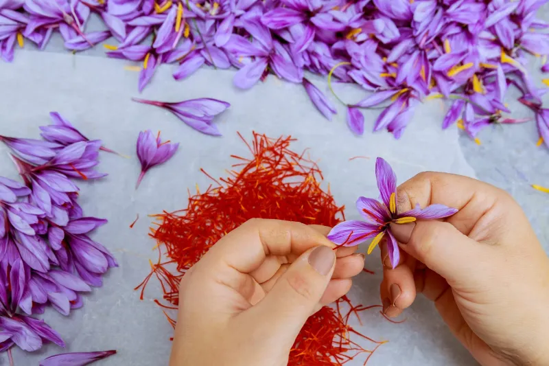 Saffron