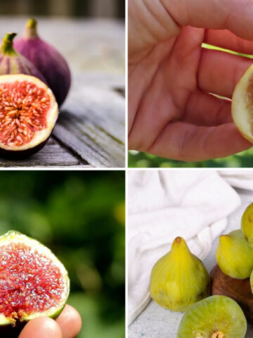 10 Types Of Figs And The Best Ways To Use Them