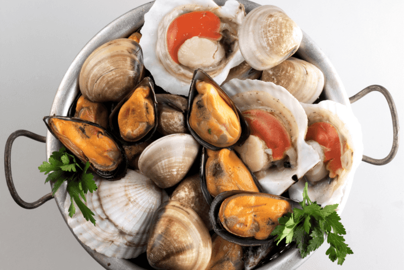 Seafood (Especially Shellfish)