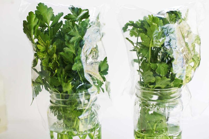 Store Herbs Properly