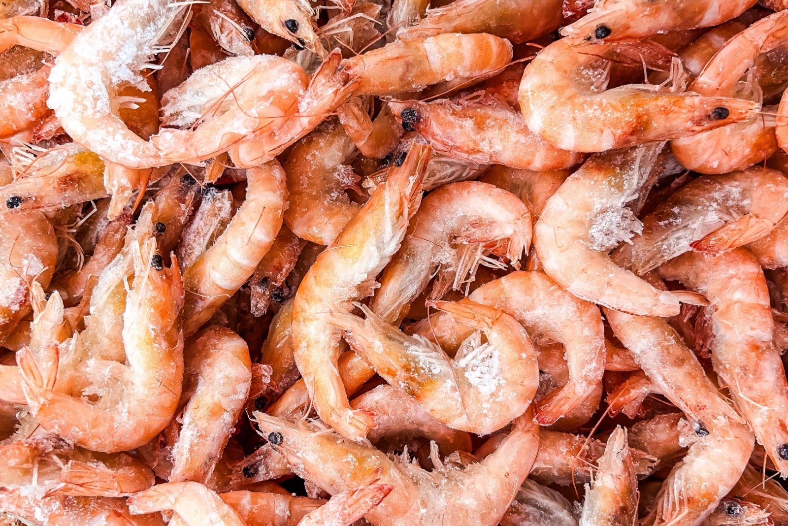 Frozen shrimps prawns. Raw shrimp background. Pile of frozen shrimps background. Close-up of frozen shrimps. Shrimp with ice, top view.