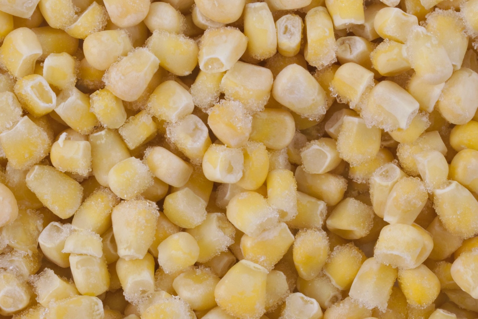 background of frozen and frosty yellow corn kernels