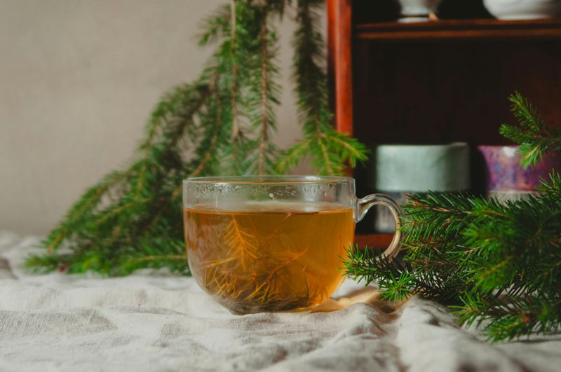 Herbal Tea with Spruce Branches in Cozy Setting
