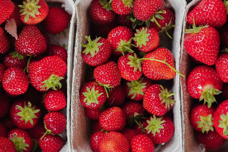Select Perfect Berries For Freezing