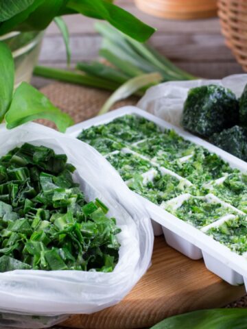How To Properly Freeze Fresh Herbs At Home (Featured Image)