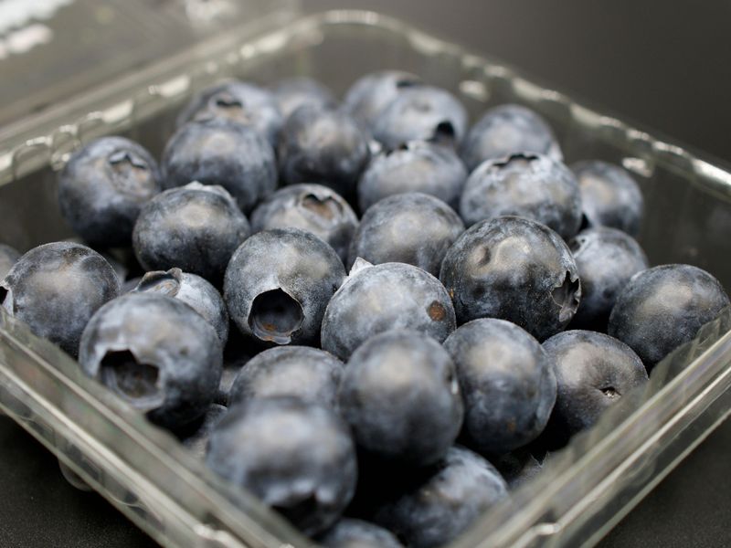 Fresh Blueberries in a Transparent Container