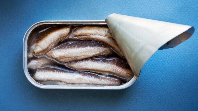 Oily Fish Canned In Water Or Olive Oil